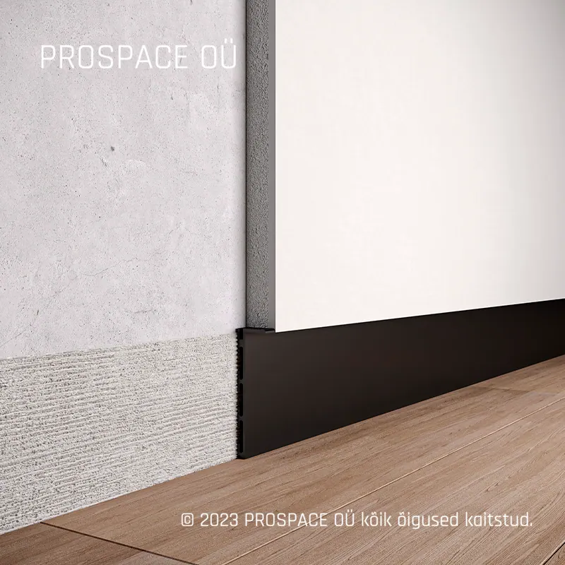 ASP116 Wall Shadow Gap Profile · 60 mm